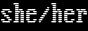 a 31x88 badge displaying a vga format with she/her pronouns